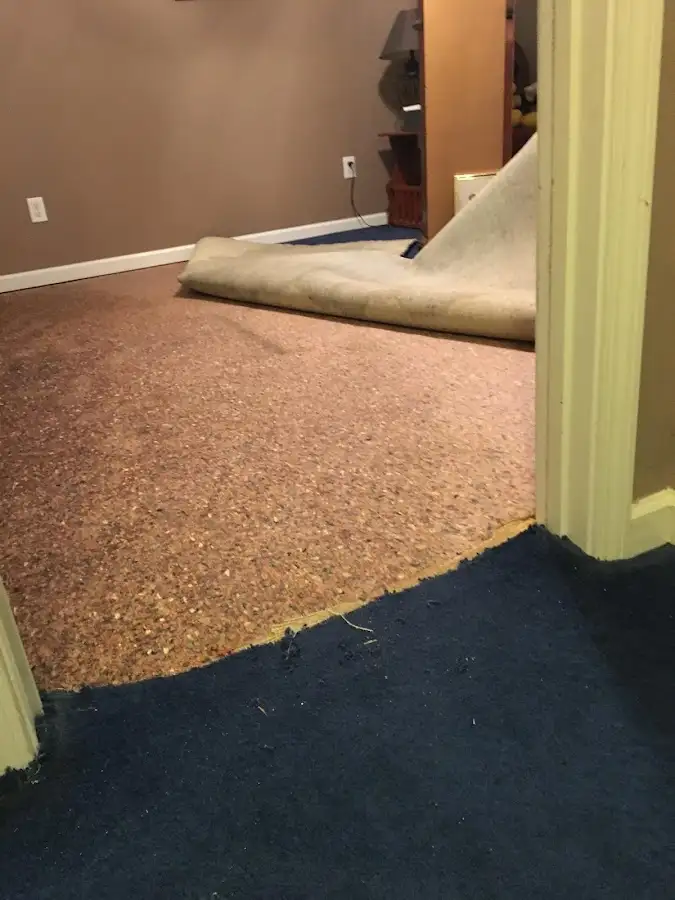 Carpet pad removal revealing water damage during Water Mitigation Services in River Ridge