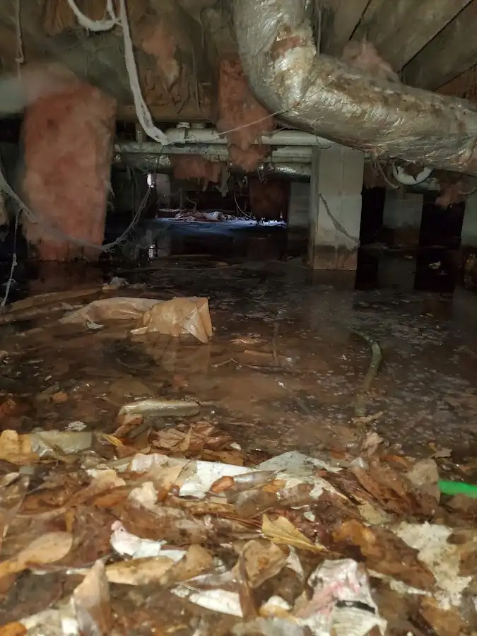 Crawl space flood assessment for Leak Detection & Repair in River Ridge
